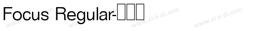 Focus Regular字体转换